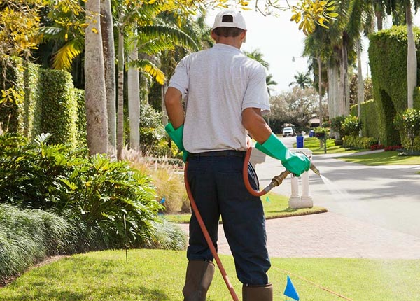 About Drain OR Pest Control Pros
